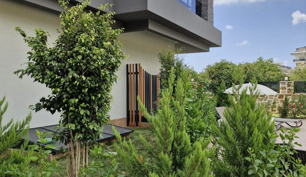 WhatsApp Image 2024-09-27 at 09.02.25