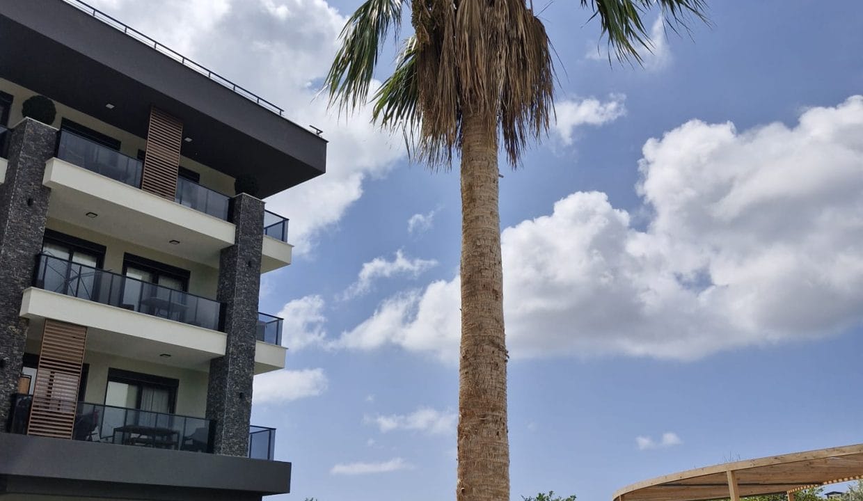 WhatsApp Image 2024-09-27 at 09.02.37